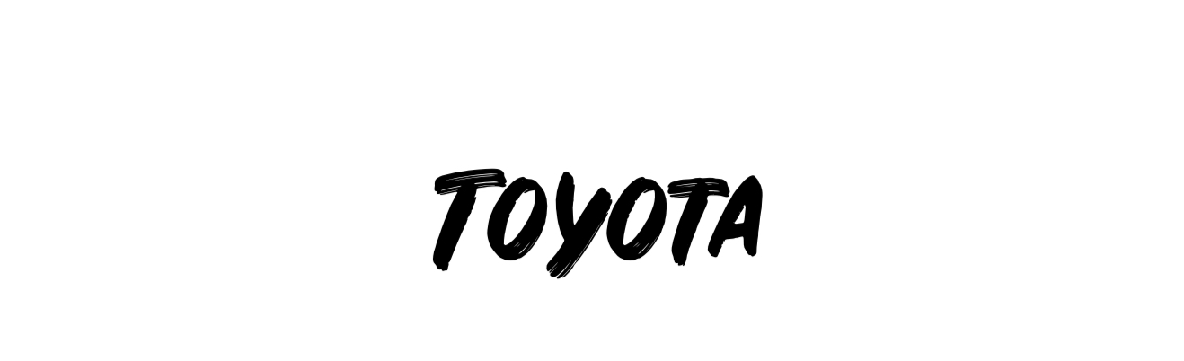 Lazer Kühlergrillmontagesätze für Toyota